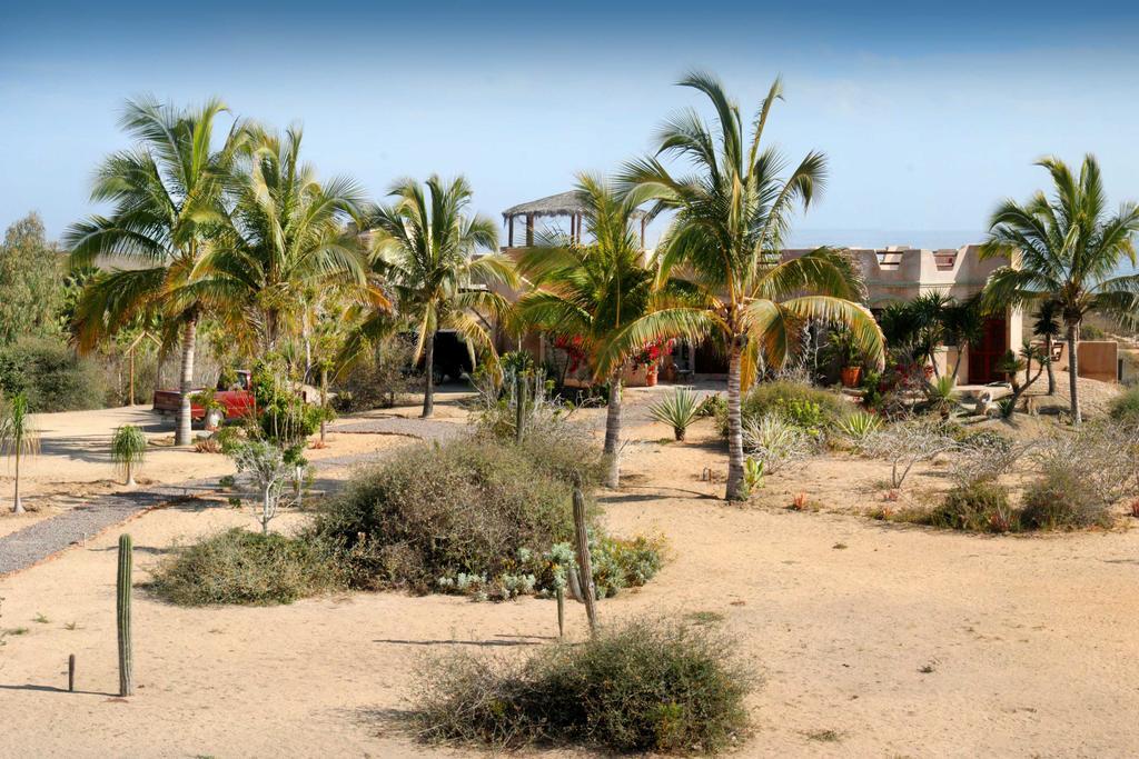 فندق تودوس سانتوسفي  Flora Del Mar المظهر الخارجي الصورة